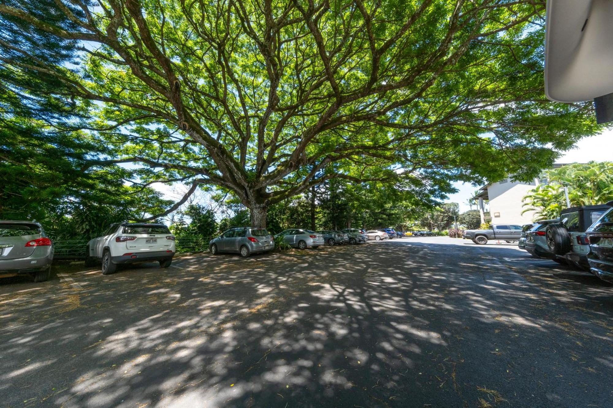 Hanalei Bay Resort Princeville Zewnętrze zdjęcie